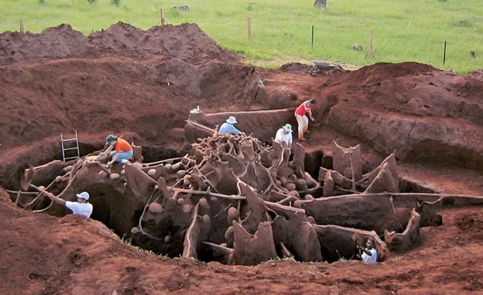 Hayret edeceksiniz! Karıncalar kendine şehir kurmuş: Yan yollar, patikalar, otobanlar ve odalar... 1