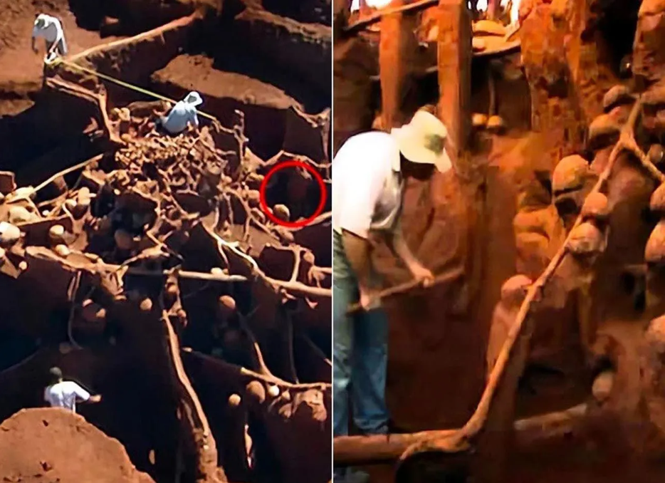 Hayret edeceksiniz! Karıncalar kendine şehir kurmuş: Yan yollar, patikalar, otobanlar ve odalar... 12