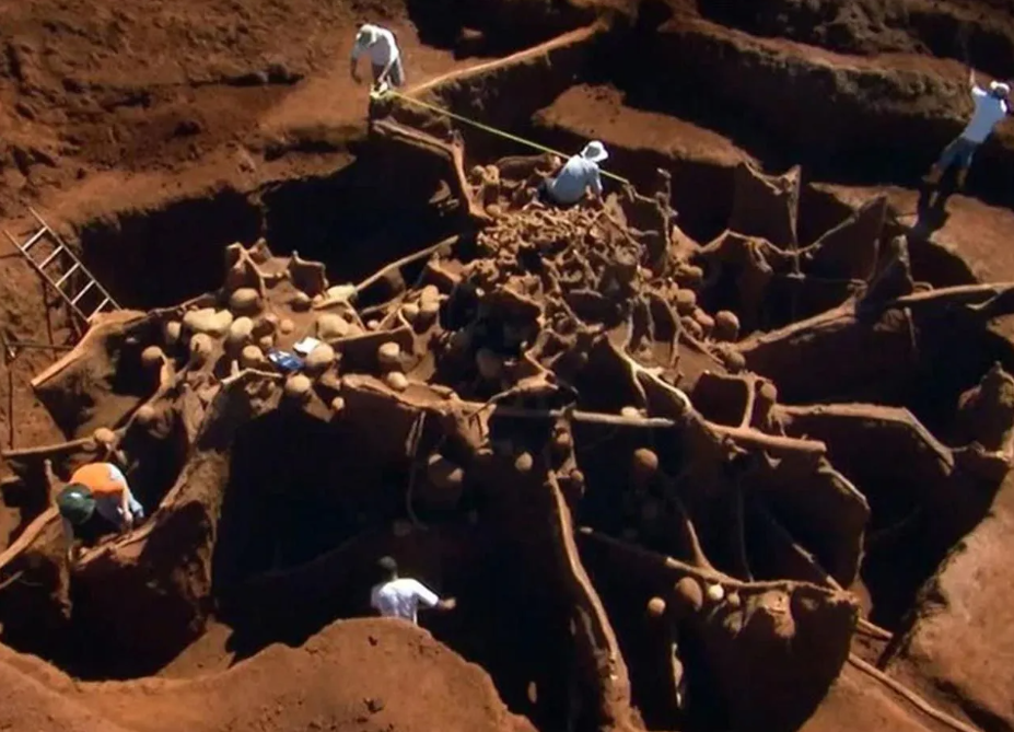 Hayret edeceksiniz! Karıncalar kendine şehir kurmuş: Yan yollar, patikalar, otobanlar ve odalar... 13