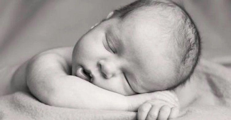 50 bebek bir odaya kapatıldı: Büyüyünce hangi dili konuşacakları test edildi! Sonuç hayrete düşürdü 2