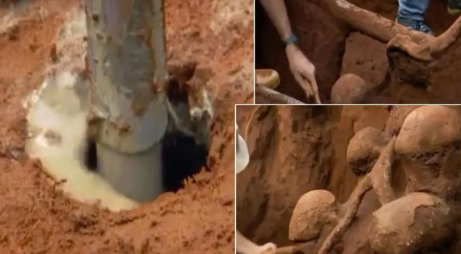 Hayret edeceksiniz! Karıncalar kendine şehir kurmuş: Yan yollar, patikalar, otobanlar ve odalar... 3