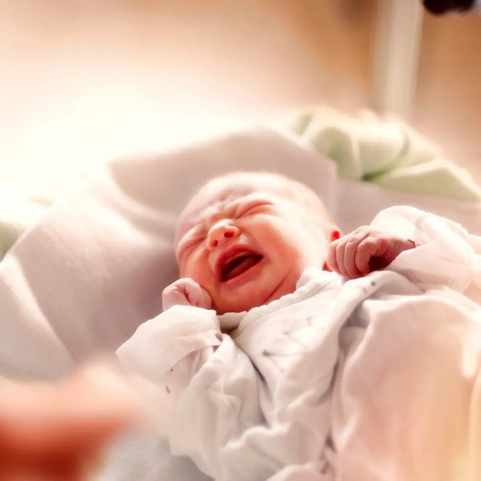 50 bebek bir odaya kapatıldı: Büyüyünce hangi dili konuşacakları test edildi! Sonuç hayrete düşürdü 6