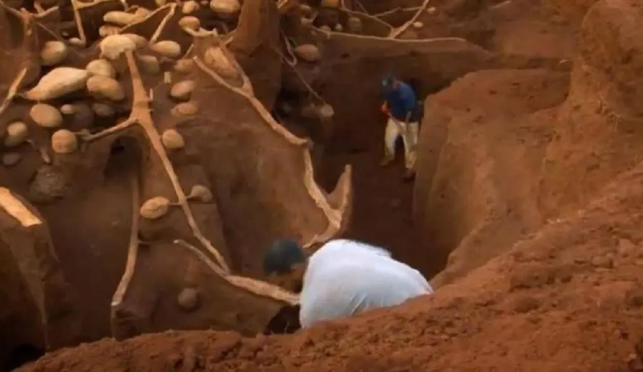 Hayret edeceksiniz! Karıncalar kendine şehir kurmuş: Yan yollar, patikalar, otobanlar ve odalar... 8