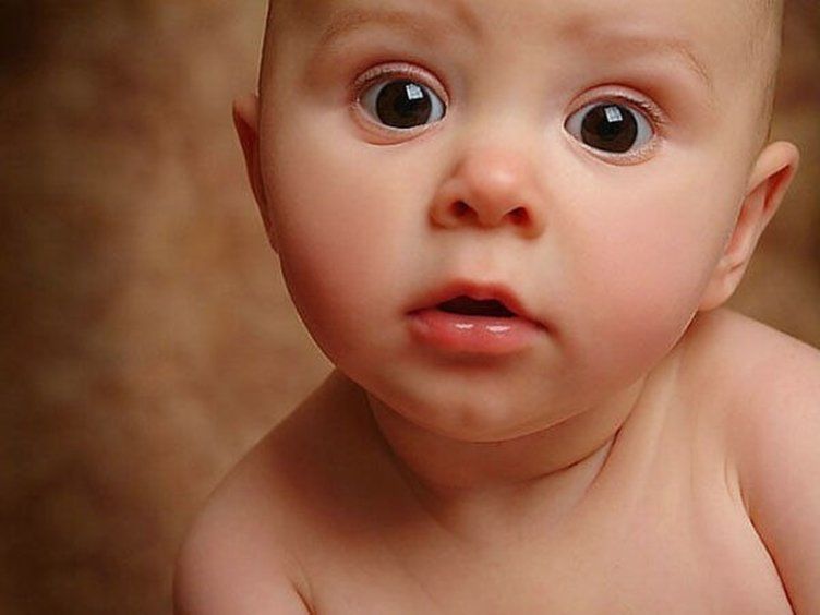 50 bebek bir odaya kapatıldı: Büyüyünce hangi dili konuşacakları test edildi! Sonuç hayrete düşürdü 9