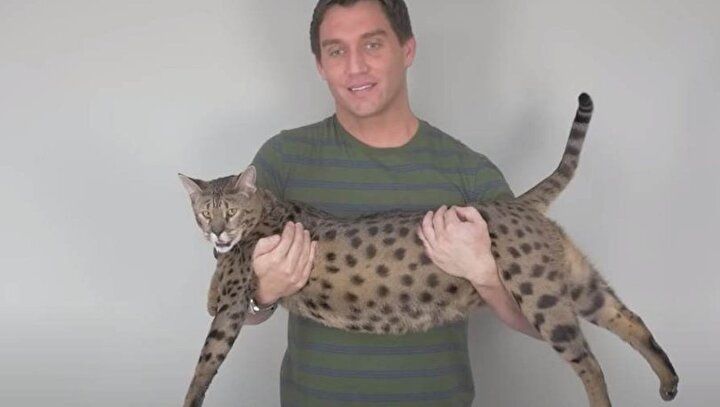 Yaşayan en uzun boylu tür! Rekoru kardeşinden aldı... 1