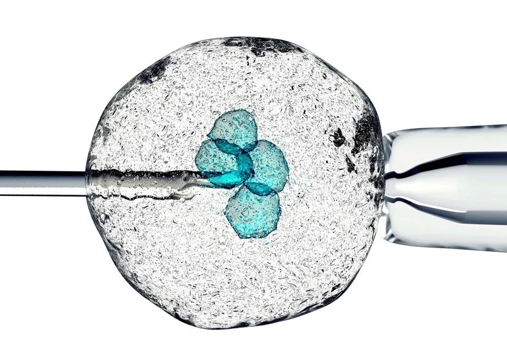 Baba Vanga’nın 2023 Türkiye seçimi kehanetiyle ilgili şok iddia! Kimin kazanacağını söyledi mi? 8