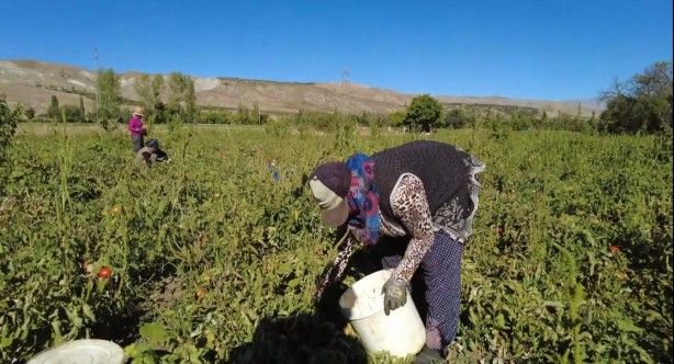 Devlet verdi, o başardı! Köydekiler 'yapamazsın' diyordu, şimdi köyü çalıştırıyor 3