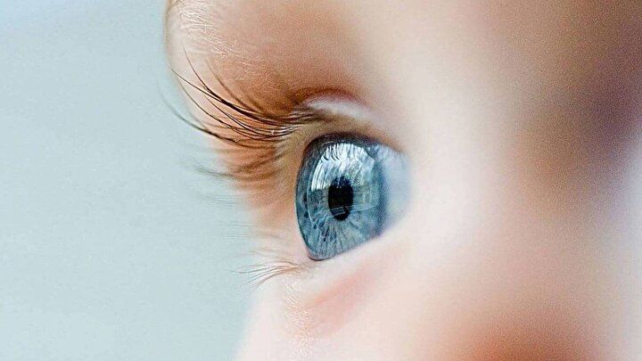 İnanılmaz araştırma: Mavi gözlü insanların soyu tek bir kişiye dayanıyor! 1