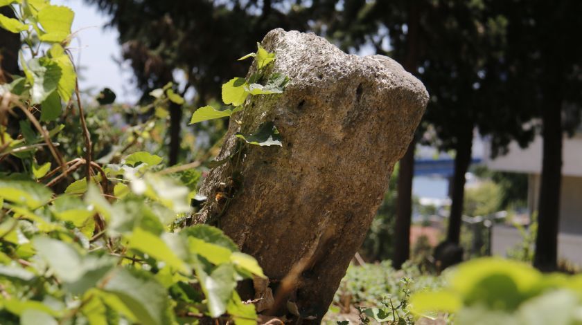 İstanbul'da kimsenin bilmediği toplu cellat mezarlığı bulundu! 6
