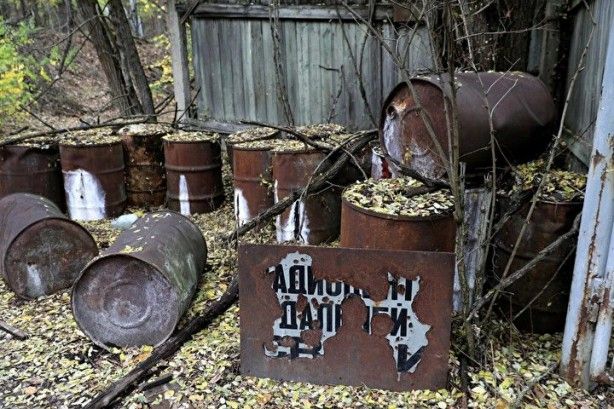 Bilim Kurgu filmi değil, gerçek! Faciadan 36 yıl sonra: Hayvanlar siyah renkte doğmaya başladı 11