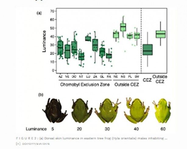 Bilim Kurgu filmi değil, gerçek! Faciadan 36 yıl sonra: Hayvanlar siyah renkte doğmaya başladı 6