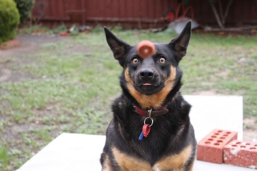 Bir saniye sonrasında ne oldu? Bu fotoğrafları başka yerde bulamazsanız! 11