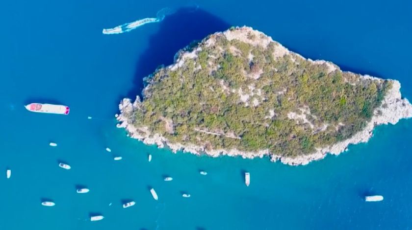 Denizin Amazon ormanları böyle yok oldu 2