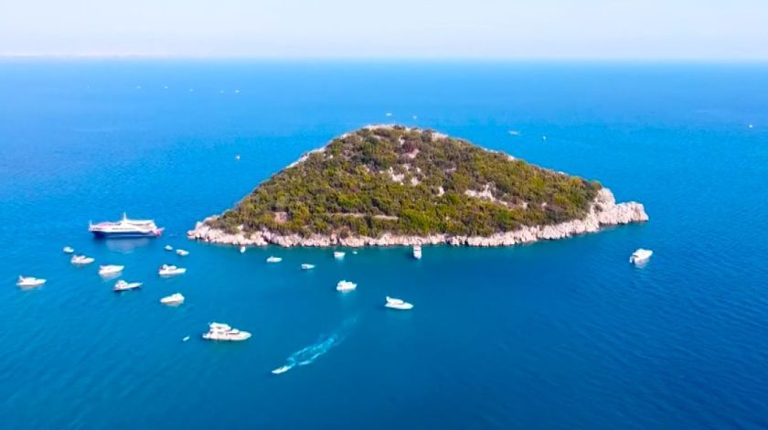 Denizin Amazon ormanları böyle yok oldu 5