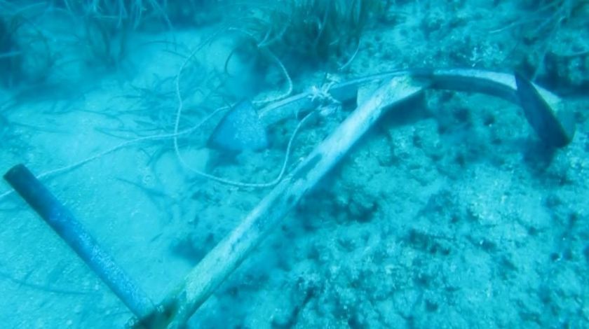 Denizin Amazon ormanları böyle yok oldu 10