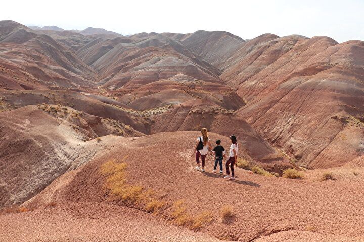 Dünyada nadir görülüyor: Türkiye'nin doğusundaki güzellik! Görenler hayran kalıyor... 10