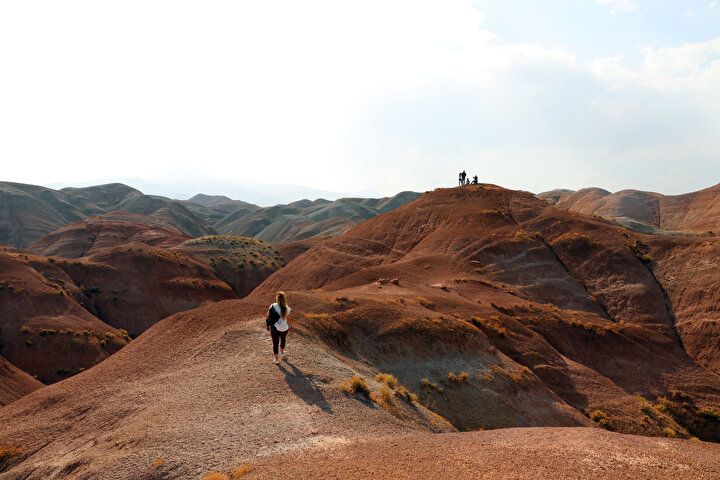 Dünyada nadir görülüyor: Türkiye'nin doğusundaki güzellik! Görenler hayran kalıyor... 16