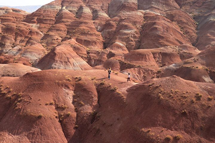 Dünyada nadir görülüyor: Türkiye'nin doğusundaki güzellik! Görenler hayran kalıyor... 17