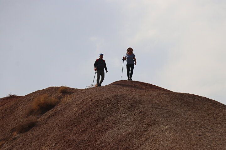 Dünyada nadir görülüyor: Türkiye'nin doğusundaki güzellik! Görenler hayran kalıyor... 18