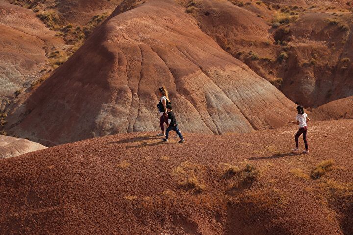 Dünyada nadir görülüyor: Türkiye'nin doğusundaki güzellik! Görenler hayran kalıyor... 19
