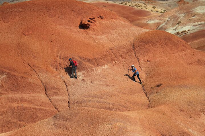 Dünyada nadir görülüyor: Türkiye'nin doğusundaki güzellik! Görenler hayran kalıyor... 4