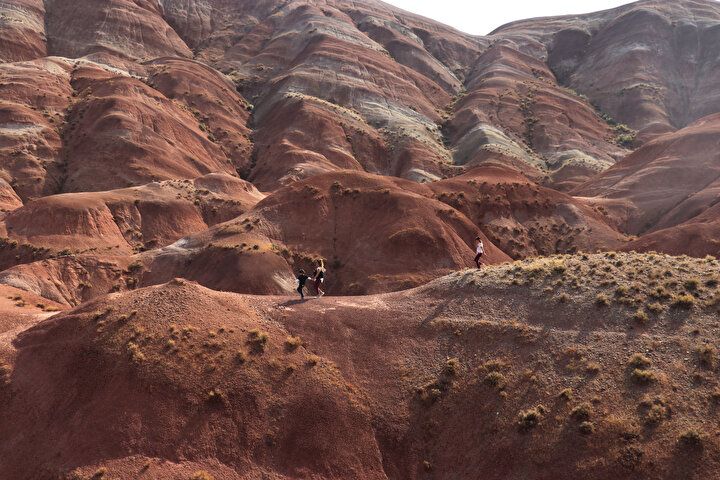 Dünyada nadir görülüyor: Türkiye'nin doğusundaki güzellik! Görenler hayran kalıyor... 5