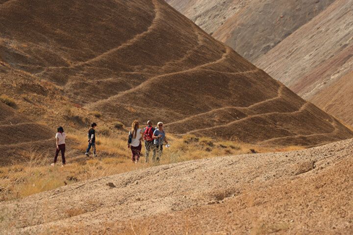 Dünyada nadir görülüyor: Türkiye'nin doğusundaki güzellik! Görenler hayran kalıyor... 7