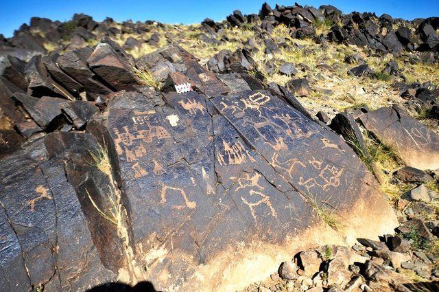 Heyecanlandıran keşif: Gobi Çölü'nde Türklere ait mamut figürleri bulundu 1
