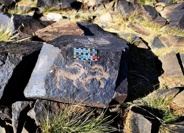 Heyecanlandıran keşif: Gobi Çölü'nde Türklere ait mamut figürleri bulundu 2