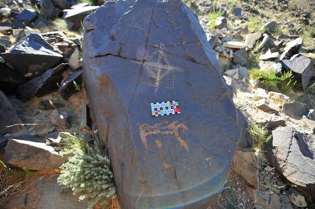 Heyecanlandıran keşif: Gobi Çölü'nde Türklere ait mamut figürleri bulundu 3