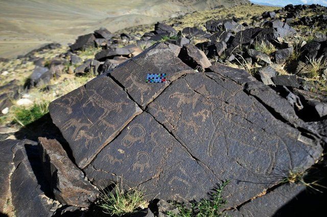 Heyecanlandıran keşif: Gobi Çölü'nde Türklere ait mamut figürleri bulundu 4