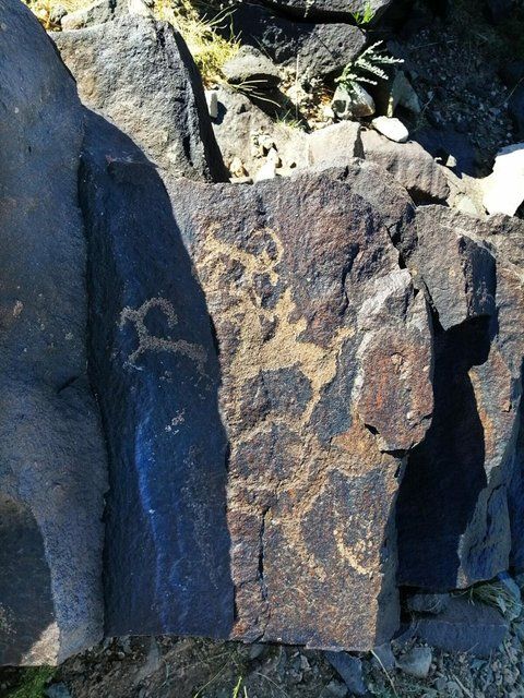 Heyecanlandıran keşif: Gobi Çölü'nde Türklere ait mamut figürleri bulundu 8