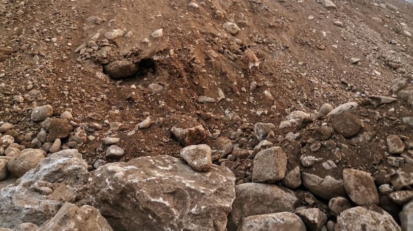 İzmir'de bir garip olay: Tüm ekipleri seferber etti, gerçek hayal çıktı 5