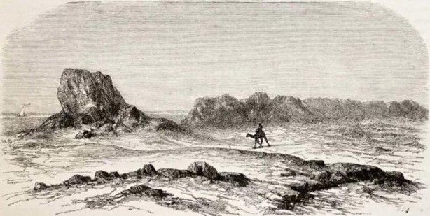 İslam alimlerinden miras bitkisel ilaçlar! Kur'an'da geçen mucize besinler... 1