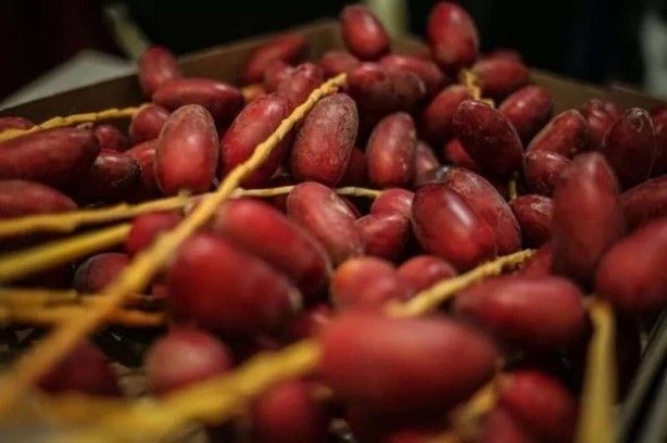 İslam alimlerinden miras bitkisel ilaçlar! Kur'an'da geçen mucize besinler... 11