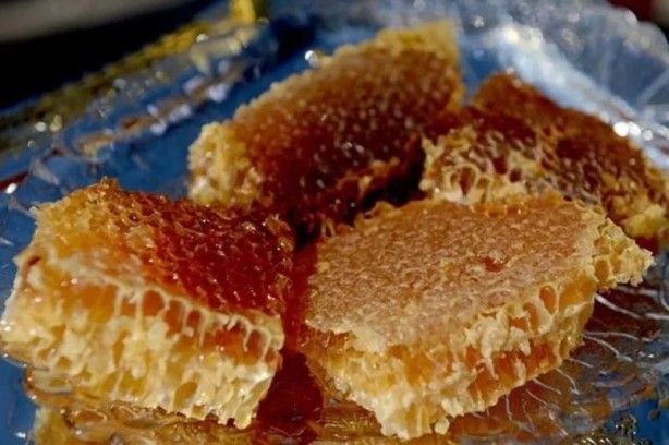 İslam alimlerinden miras bitkisel ilaçlar! Kur'an'da geçen mucize besinler... 25