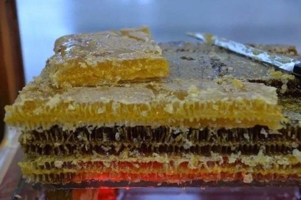 İslam alimlerinden miras bitkisel ilaçlar! Kur'an'da geçen mucize besinler... 27