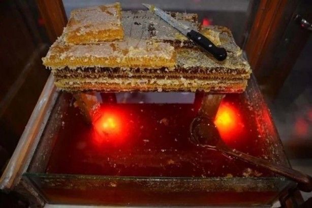 İslam alimlerinden miras bitkisel ilaçlar! Kur'an'da geçen mucize besinler... 28