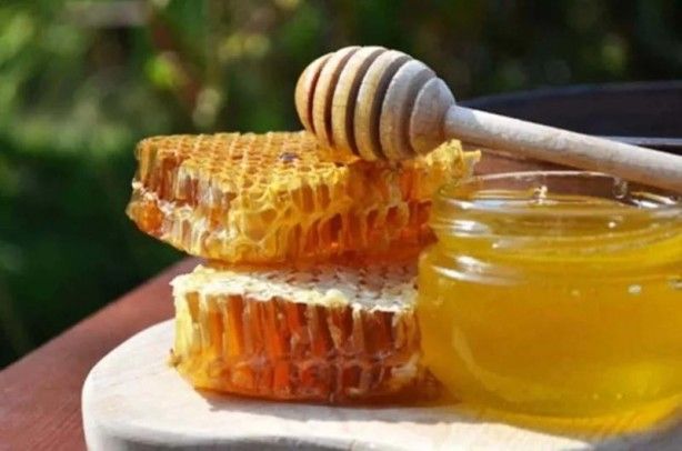 İslam alimlerinden miras bitkisel ilaçlar! Kur'an'da geçen mucize besinler... 29