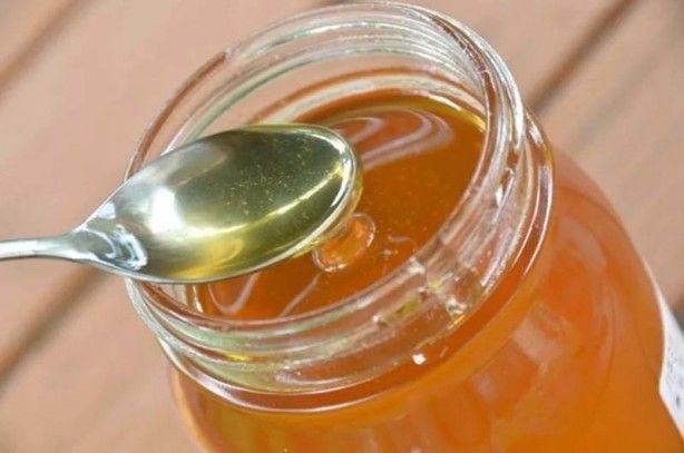 İslam alimlerinden miras bitkisel ilaçlar! Kur'an'da geçen mucize besinler... 31