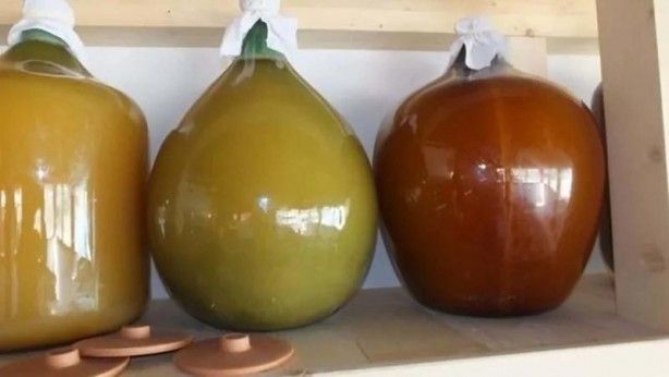 İslam alimlerinden miras bitkisel ilaçlar! Kur'an'da geçen mucize besinler... 36