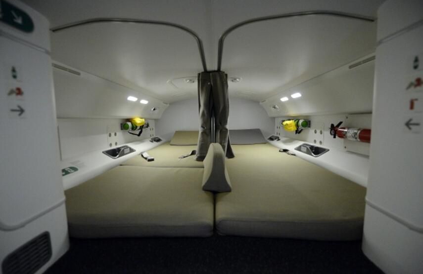 Uçaklarla ilgili bu bilgileri öğrenince çok şaşıracaksınız: Kanatlardaki karıncalar... 5