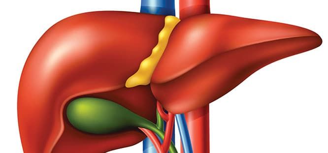 Bu işaret karaciğerinizin bittiğini gösteriyor: Hayatınızı tehlikeye atıyor, sessizce ortaya çıkıyor 3