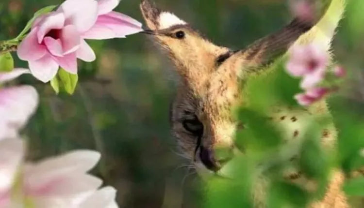 Karakterinizi gösteren görsel testler! Kendinizi tanımak mı istiyorsunuz? En doğru yerdesiniz... 6
