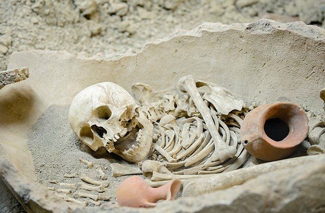 Kan donduran olay! Flört uygulamasından tanıştığı adamı canlı canlı yedi: Hiç pişman olmadı... 7