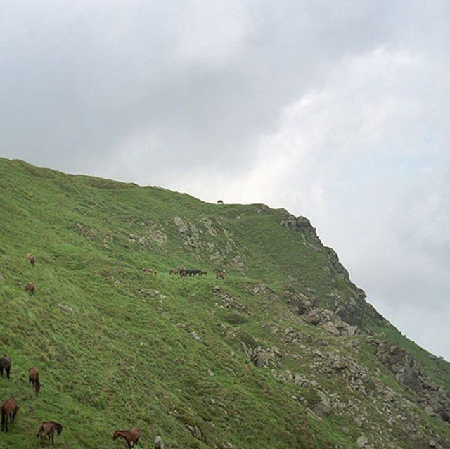 Dünyanın en ilginç ülke sınırları! O ülkeye çok şaşıracaksınız 65