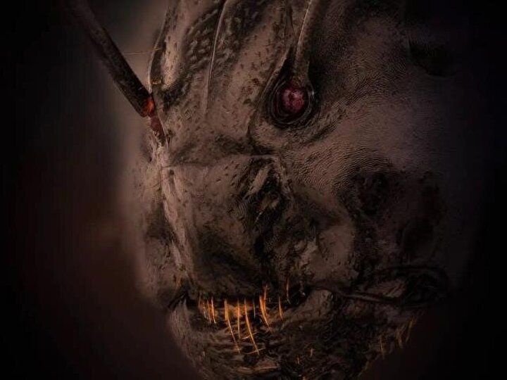 Karıncanın yüzünü görenler şok geçirdi: İlk defa bu kadar net görüntülendi... 7