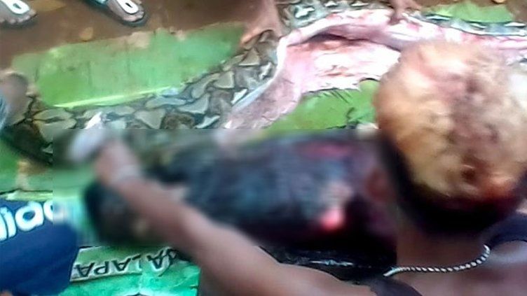 54 yaşındaki kadın pitonun midesinden çıktı! 6