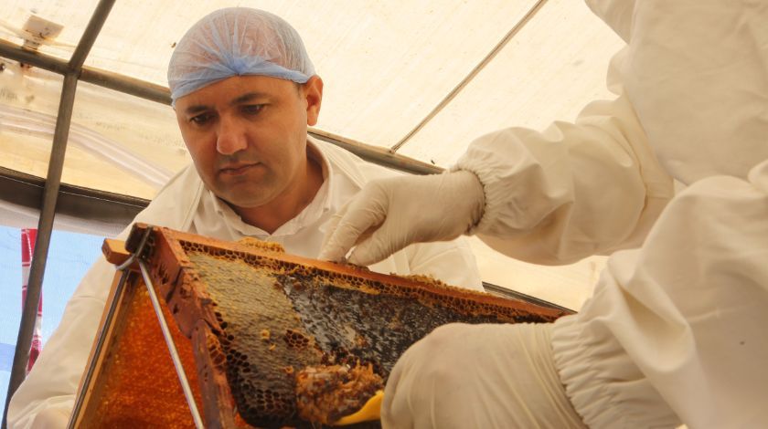 Mersin'den çıkıyor! 500 dolara satıyorlar 2