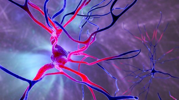 Sadece balon şişirmek istemişti! 12 yaşında çocuğun beyni ve akciğerleri çöktü 5